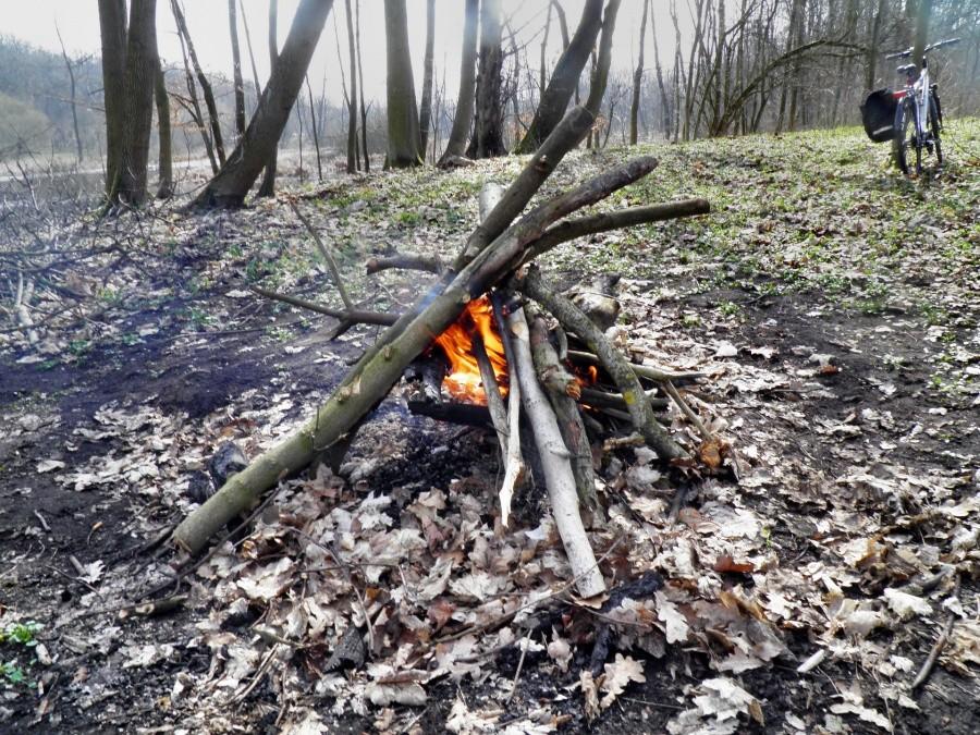 Płonie ognisko w lesie ... w miejscu bezpiecznym.