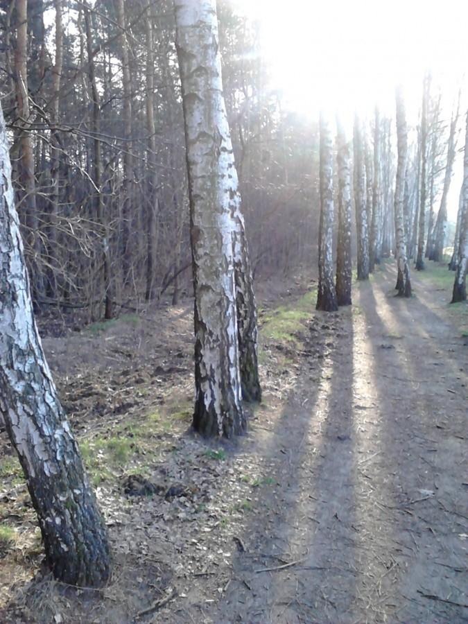 Pierwszy w tym roku slalom