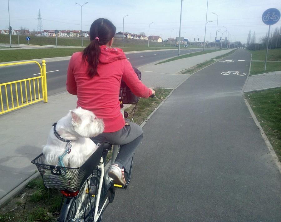 Jedziemy w górę ulicą Warcisława