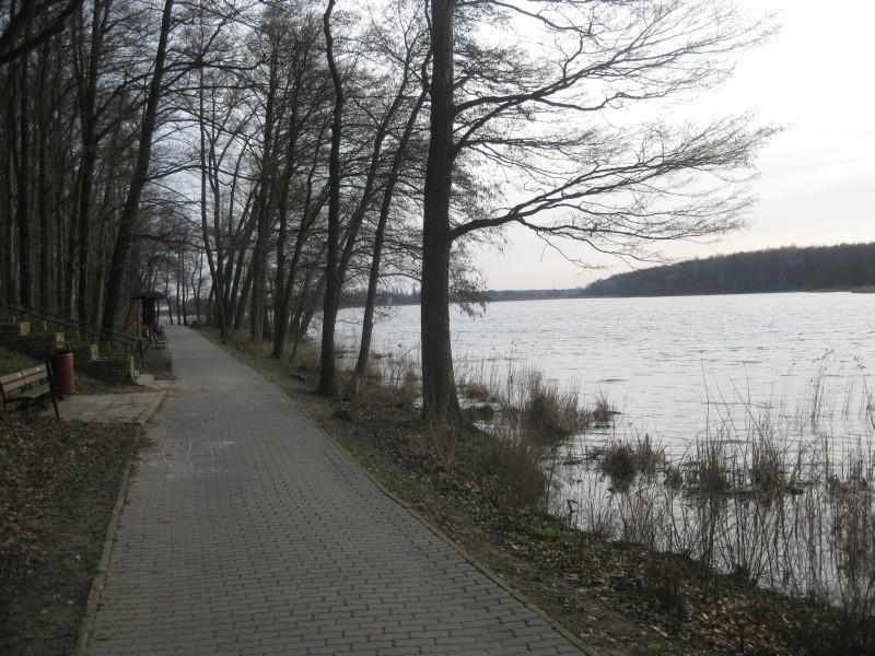 ścieżka przy Jeziorze Swarzędzkim