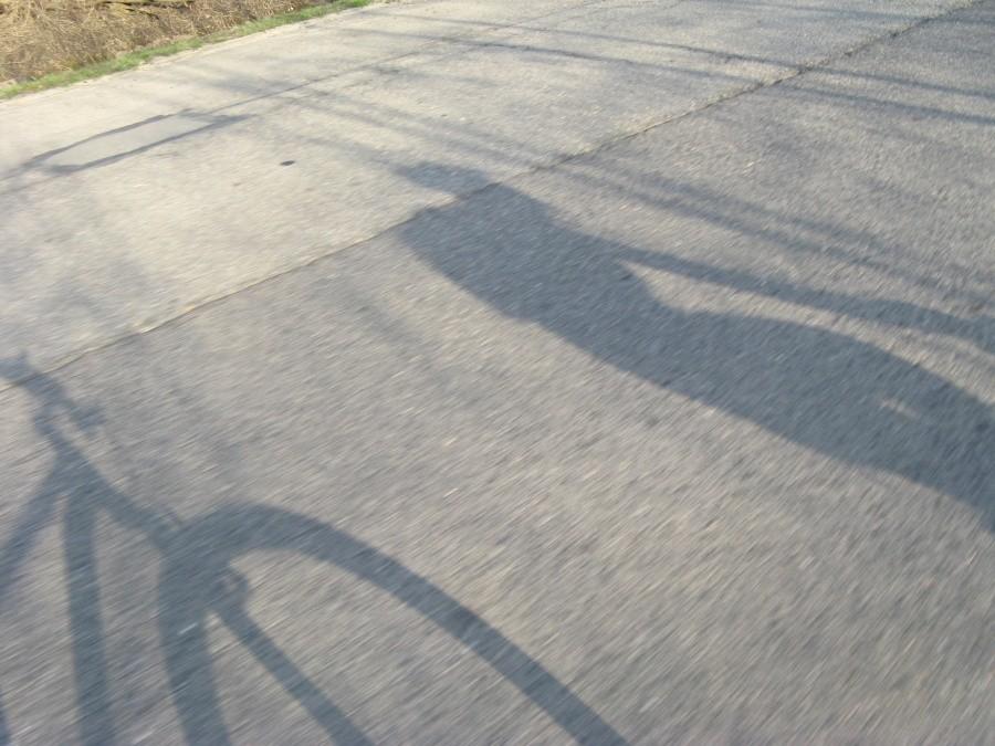 Cienie rowerzystów