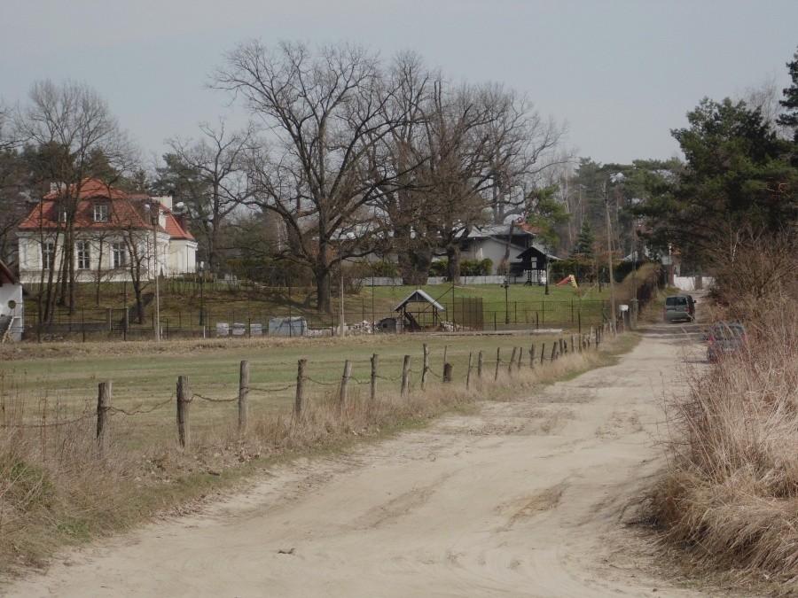 Nad Wisłę prowadzi polna droga