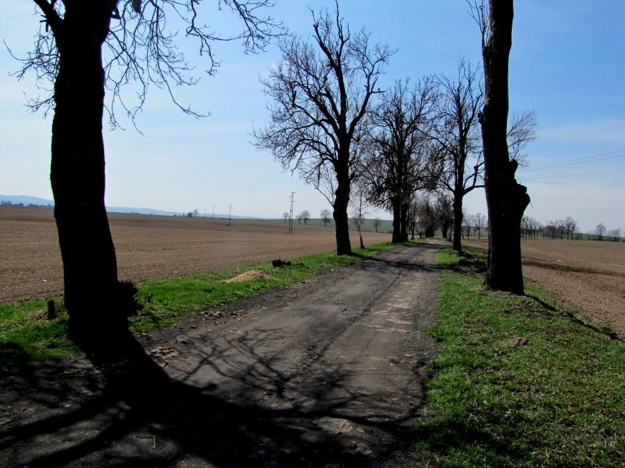 Droga w kierunku Chlebicowa . Parę kilometrów po szutrach i kamieniach.