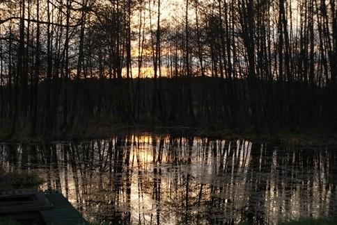tam gdzie bobry żerują :)