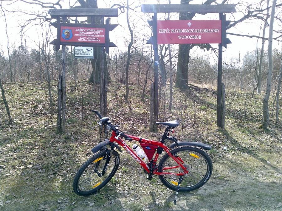 Przed wjazdem na teren Wodozbioru - od strony Przęsocina