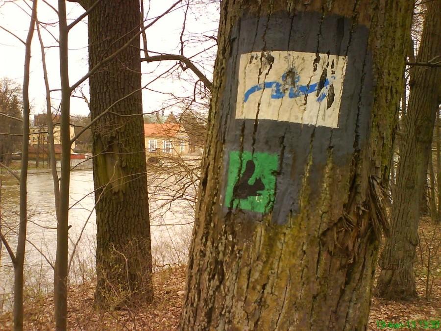 To u góry to chyba pływak, a niebieski, bo w zimnej wodzie.... ;)