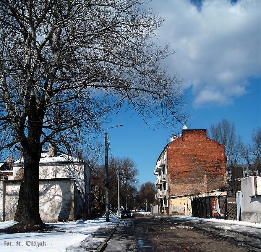Zamrożona Sławińska