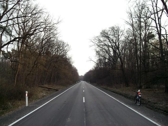 Przez Puszczę Niepołomicką