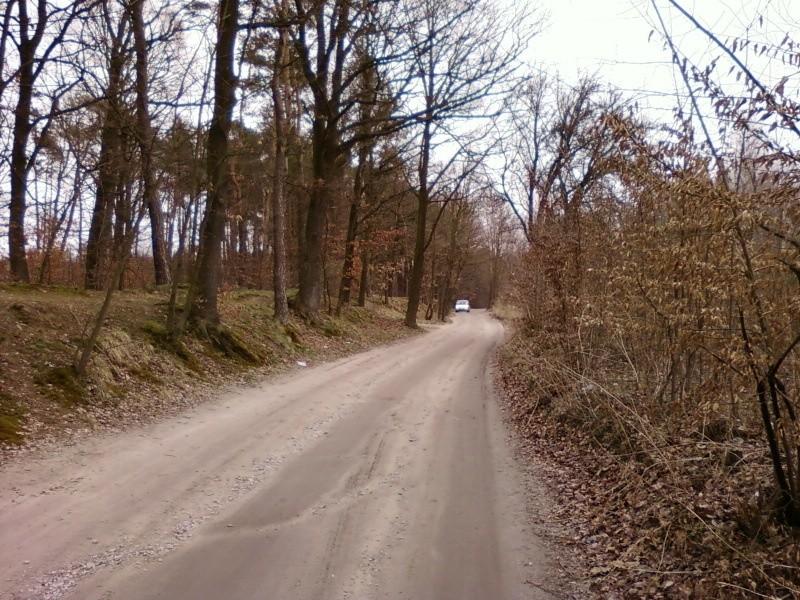 Droga Rosanów - Zgierz