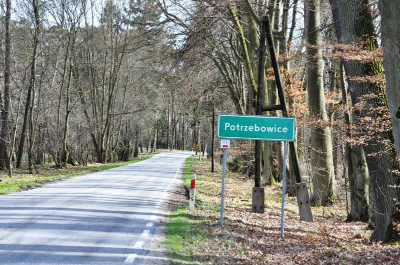 Potrzebowice - w drodze do Miałów... (Puszcza Notecka)