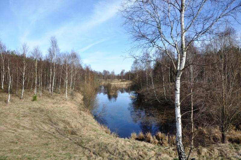 Puszczańskie klimaty - w drodze do Miałów...