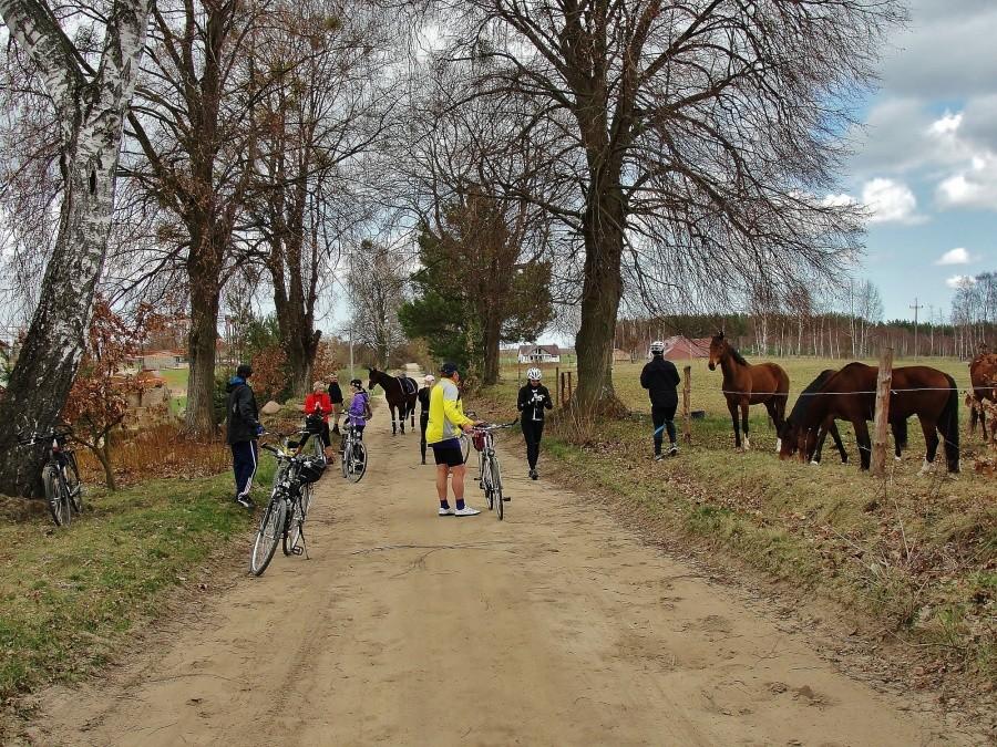 Na trasie wycieczki. Okolice Boroszewa.