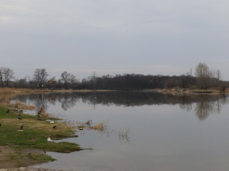Odra na Kozanowie w czasie roztopów