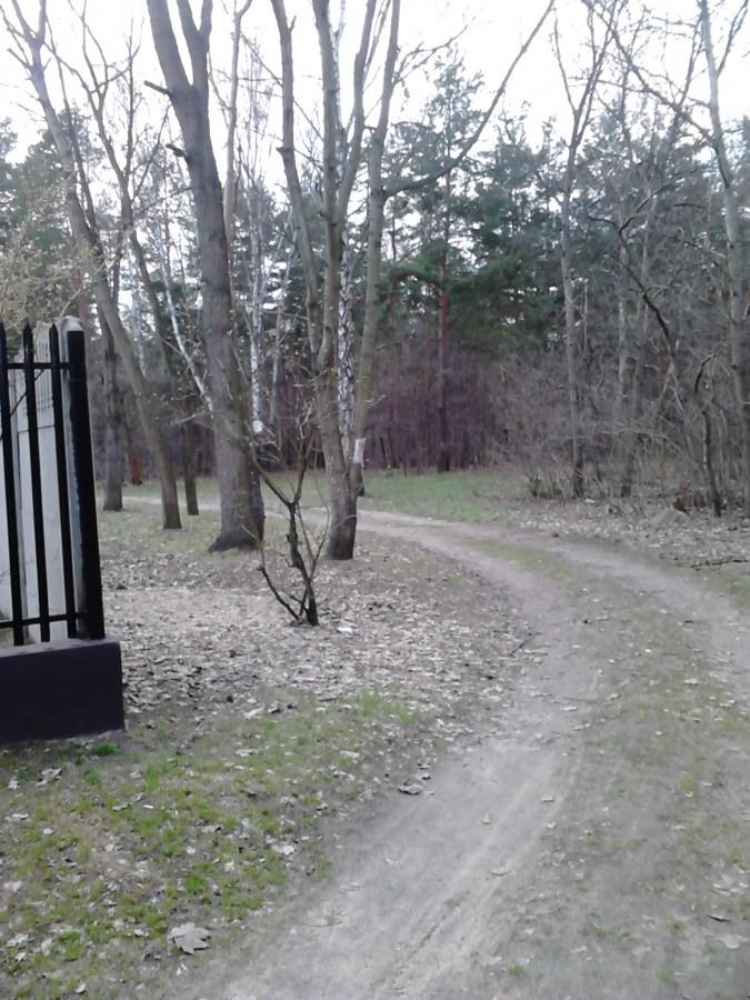 Najpierw była droga..