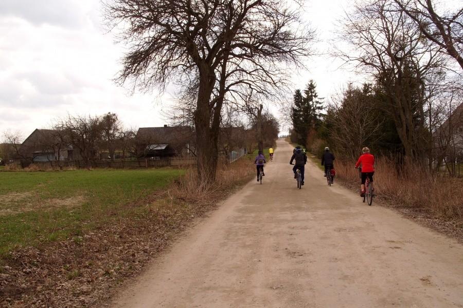 Rowerzyści w drodze