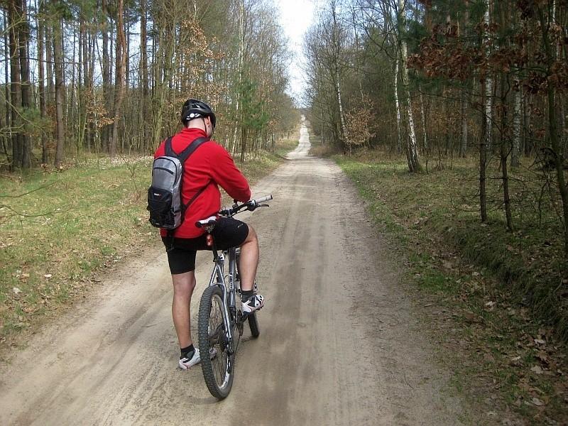 terenowa prosta z Dąbrówki Kościelnej do Pawłowa Skockiego