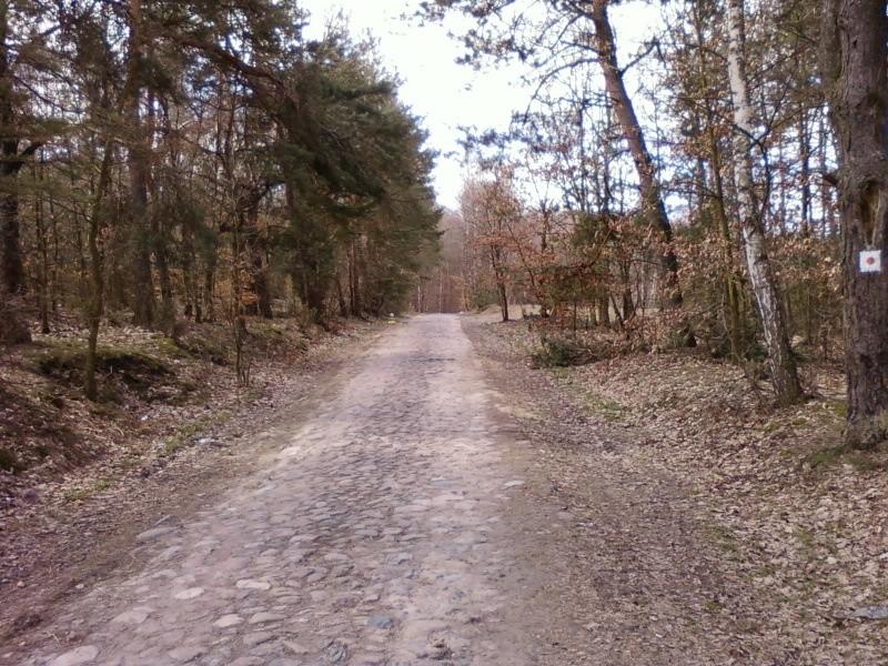 Droga Grzmiąca - Polik