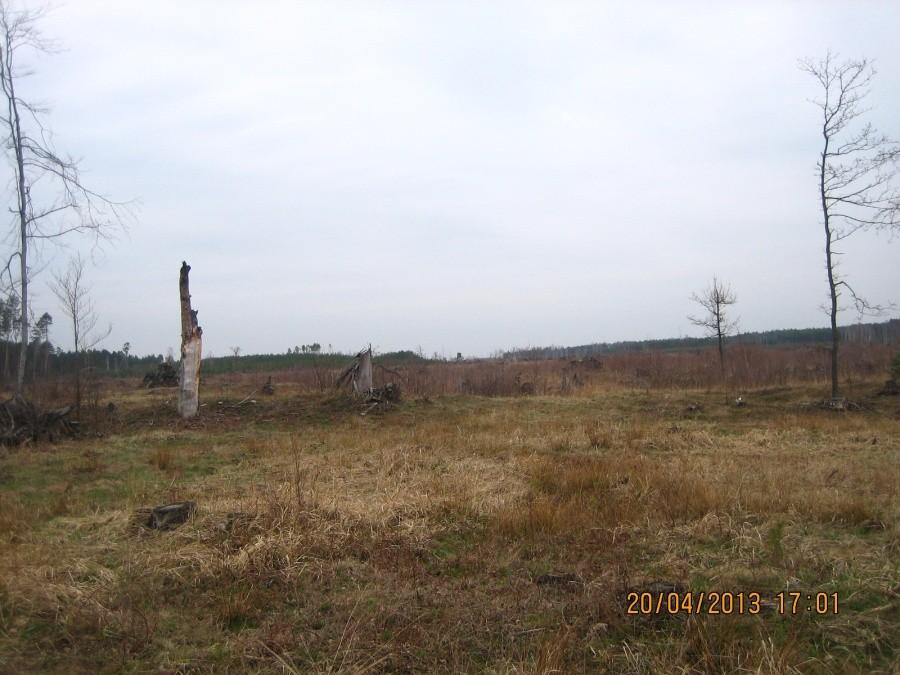 tędy 15 sierpnia 2008 roku przeszła trąba powietrzna