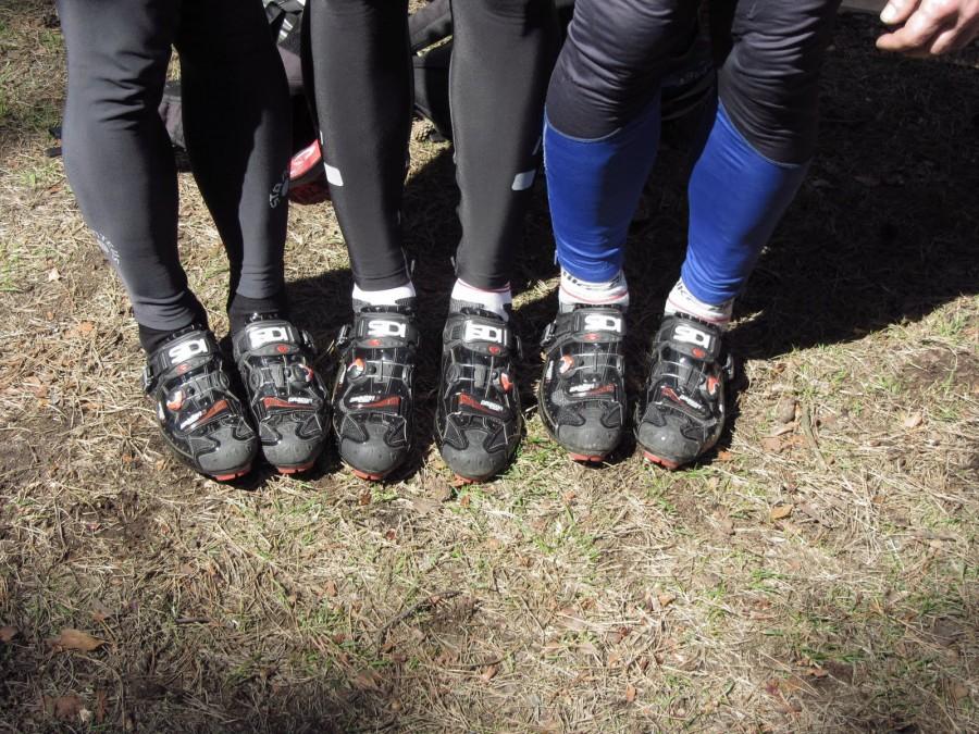 6 x SiDi Dragon