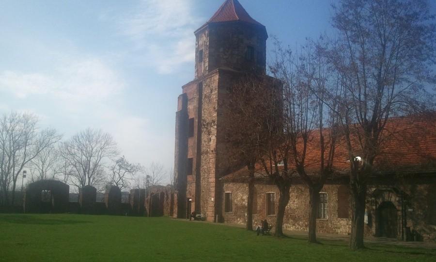 Zamek w Toszku k/Gliwic