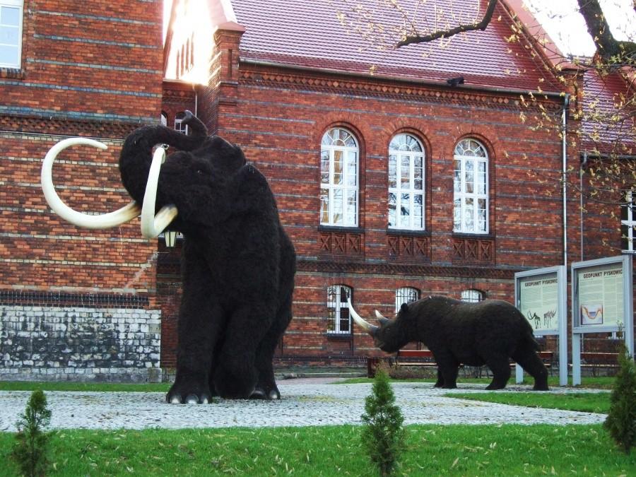mamut