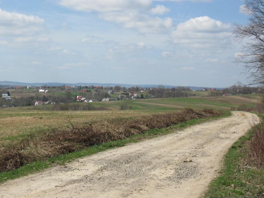 Okolice Grzegorzówki.