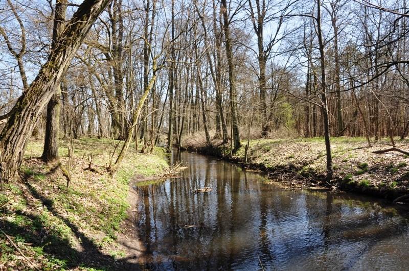 Rudnica - dopływ Noteci...