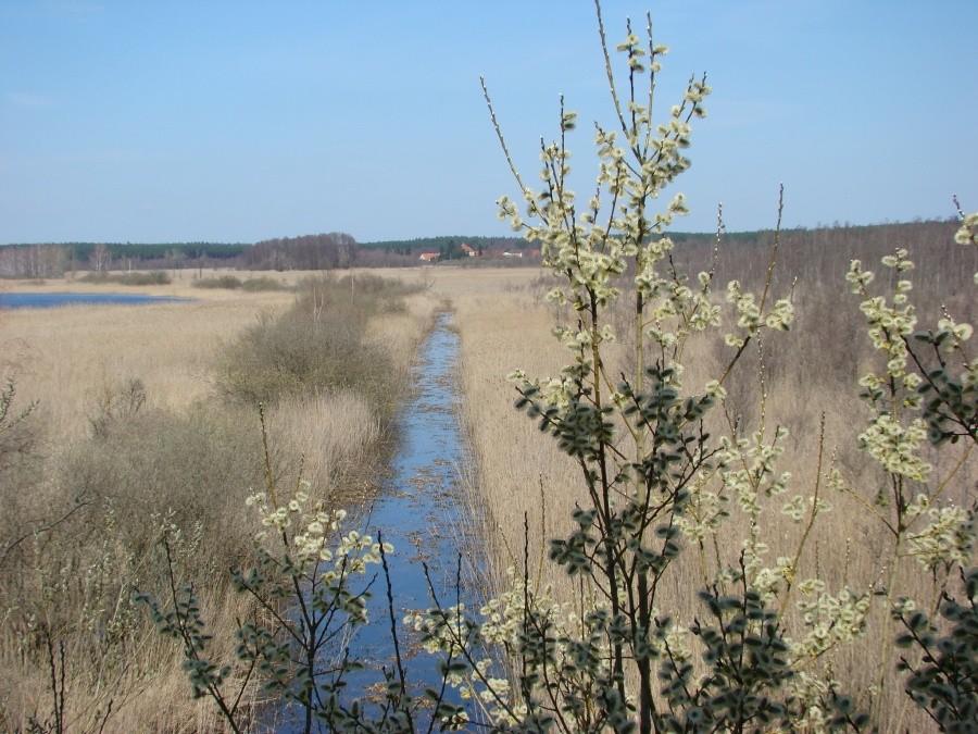 Wycieczka nad Świdwie i nie tylko. 008