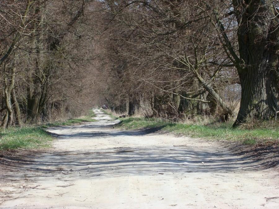 Wycieczka nad Świdwie i nie tylko. 028