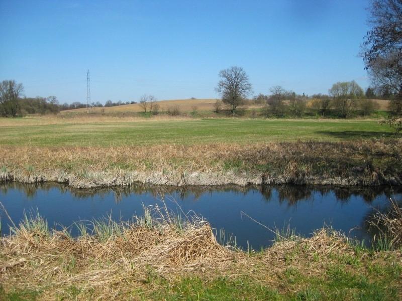 Okolice Wierzonki nad Rzeką Główną