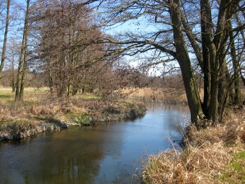Rzeka Główna