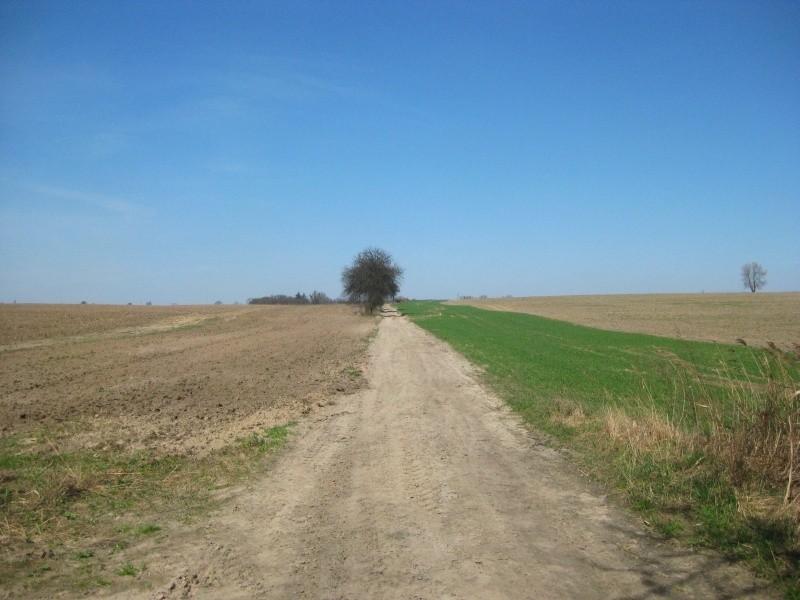 polna droga sucha i przyjemna