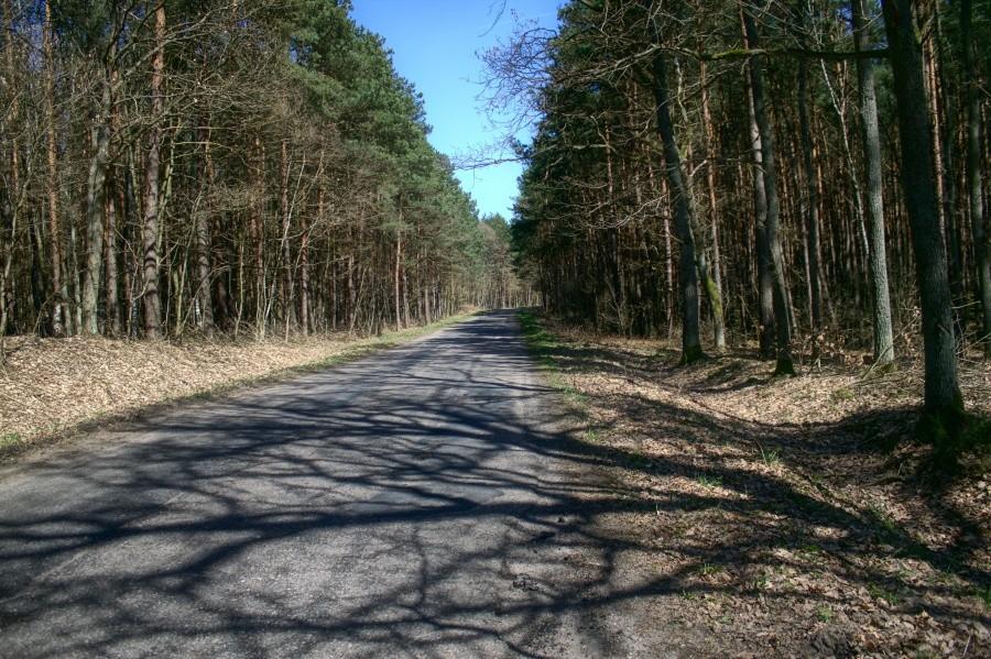 i dalej drogą na Poczernin