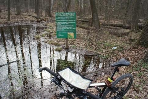 w Rezerwacie Sługocice