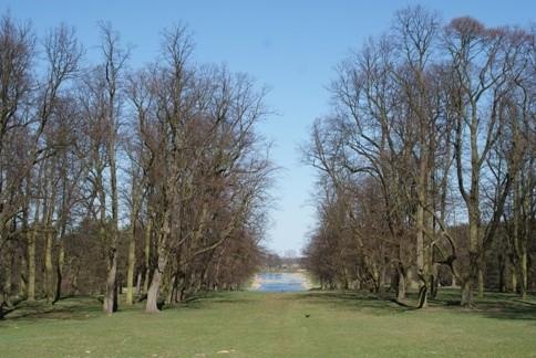 park pałacowy