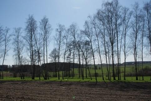 widok pagórkowaty