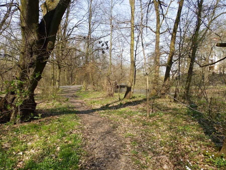 Las nad Bystrzycą w Samotworze