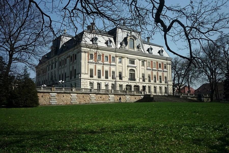 Zamek w Pszczynie