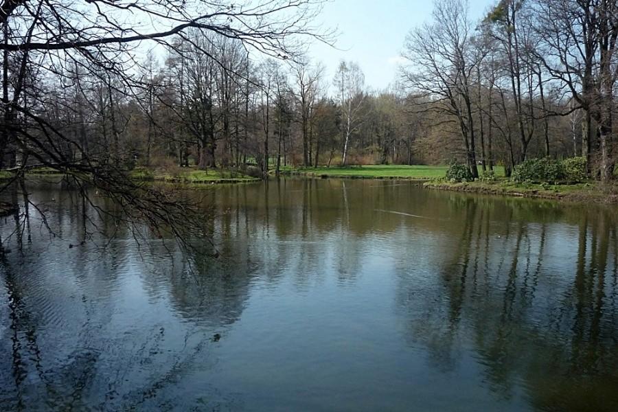 Park pałacowy