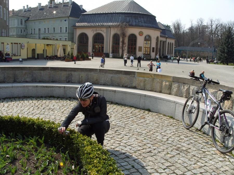 I park zdrojowy w Kudowie Ania udaje ze robi zdjęcie a tak na prawdę do zawija śliczne malutkie tulipany. Bardzo nieładnie ;)). Dla mnie żaden nie został.