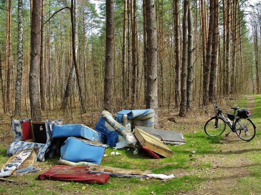 Leśne wysypisko śmieci -makabra.