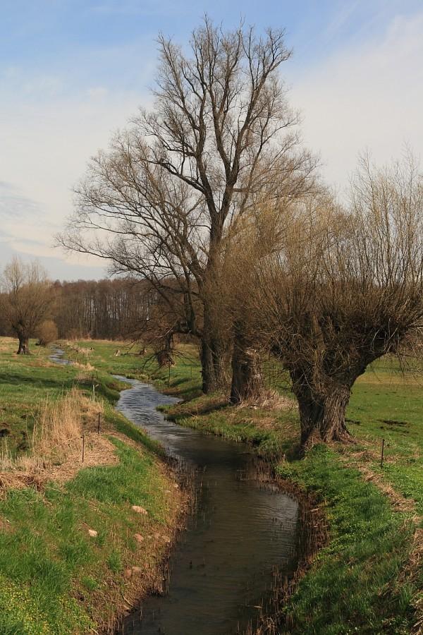 Rzeczka w Tantow.