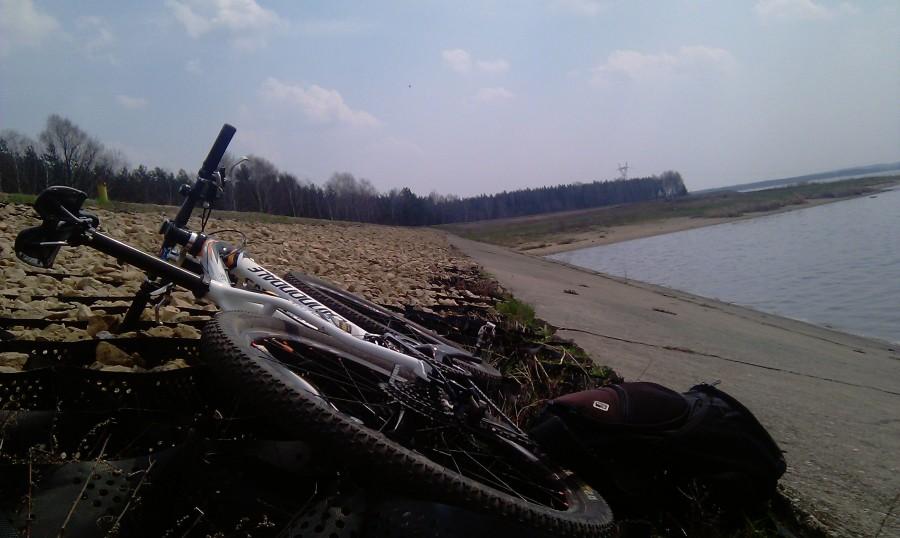 Moja Taurinka odpoczywa nad wodą