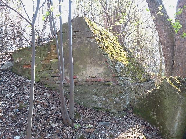 Ruiny dworu w Domasłowicach