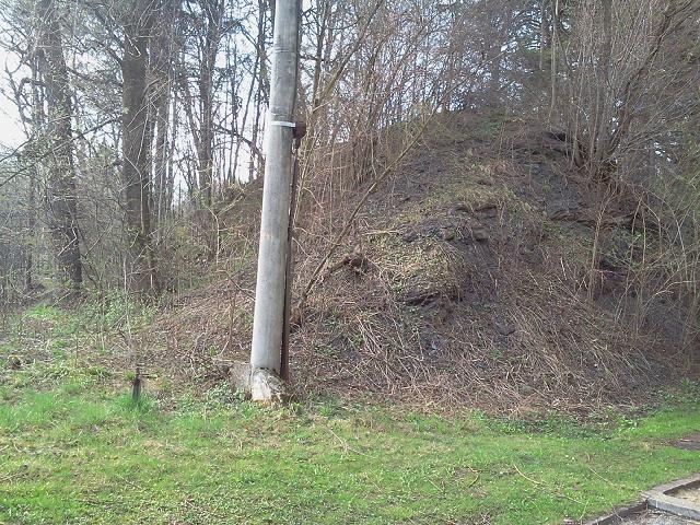 Gródek w Karpentnej