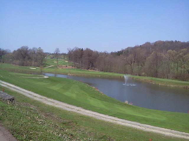 Pola golfowe