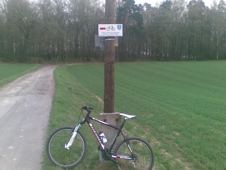 Trakt Reitzensteinów