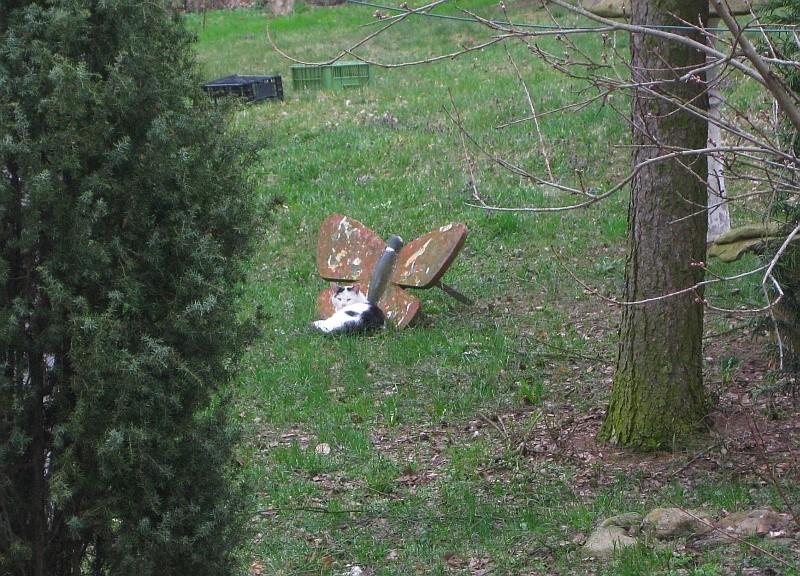 nowa leżanka kota - prota :-)