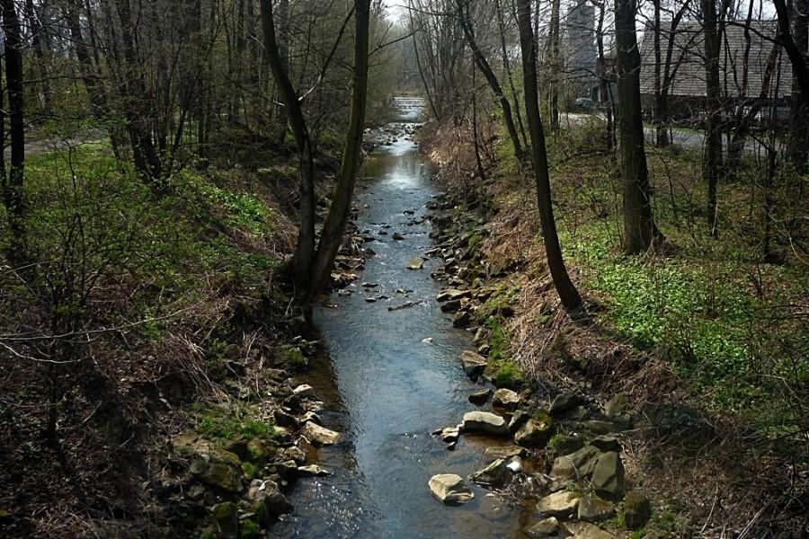 Pisarzówka