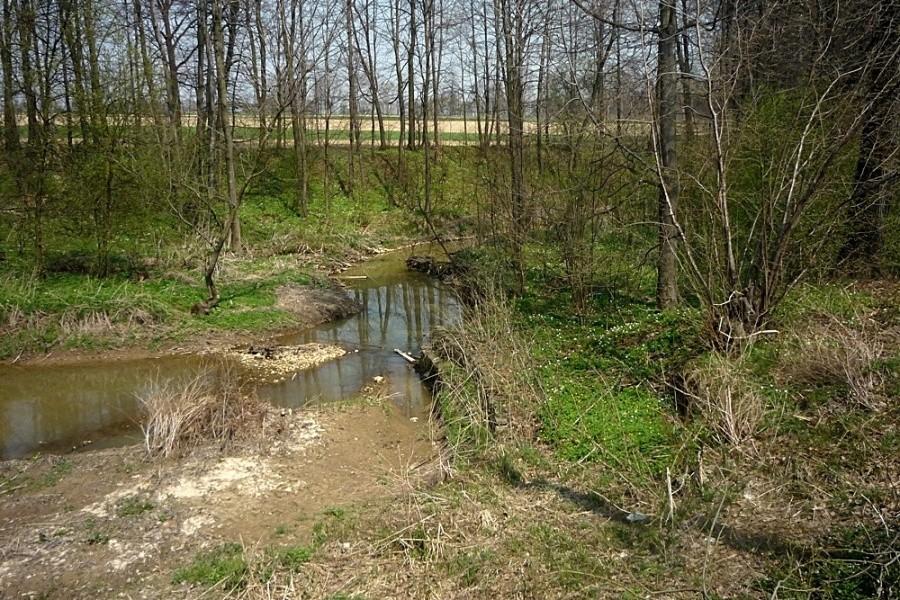 Rzeczka Słonnica
